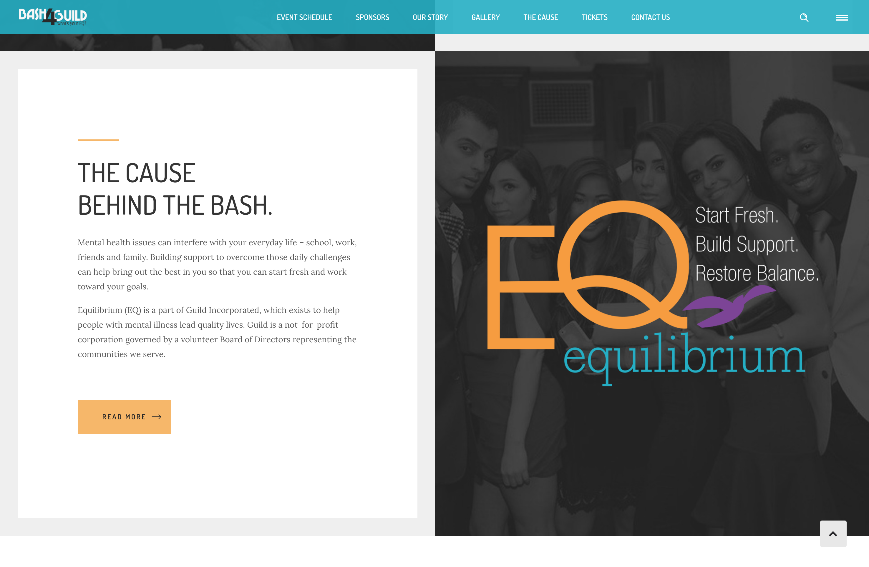 Bash4Guild Event Site, About The Cause, Desktop